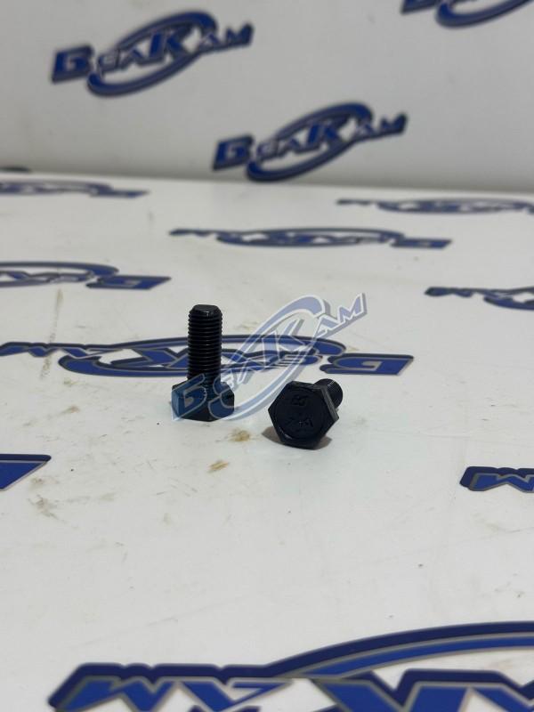 Болт М10х25 (черный) завод 1/59707-308